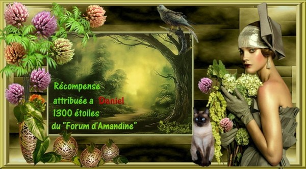 Kdo récompense (Forum Amandine)